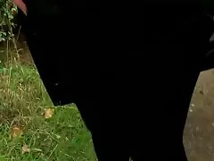 La dolce bionda tettona Harmony Heart si fa scopare bene nella posa a pecorina pompini moana pozzi