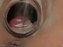 La bella mora tettona Sheena Ryder si fa pompino veloce scopare a pecorina